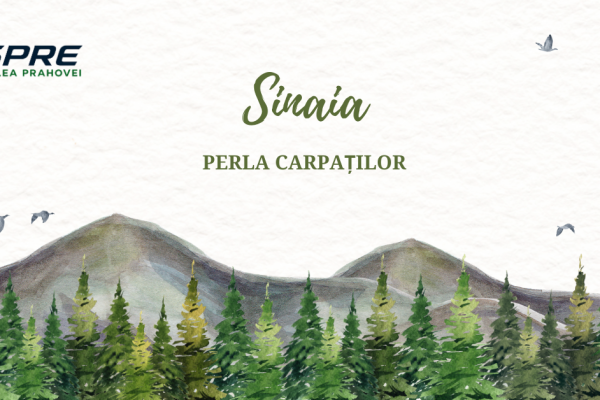 Sinaia-ilustrat printr-un peisaj montan cu brazi și munți în stil acuarelă.